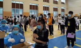 圆谷公司最新爆料消息,最新消息揭示神秘奥特曼起源与未来动向