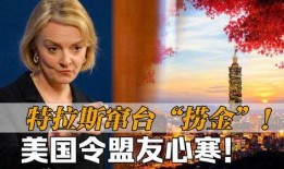 特拉斯最新爆料消息新闻,揭秘政坛内幕与权力斗争