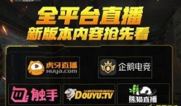cfm最新赏金活动爆料,揭秘神秘任务与丰厚奖励等你来挑战！