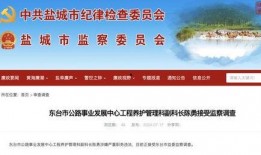 盐城爆料最新消息,聚焦城市动态与热点事件