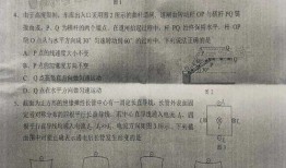王翔最新爆料肖战杨紫是真的吗,王翔最新爆料真实性揭秘