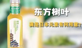 东方树叶最新爆料,揭秘茶饮界的绿色革命